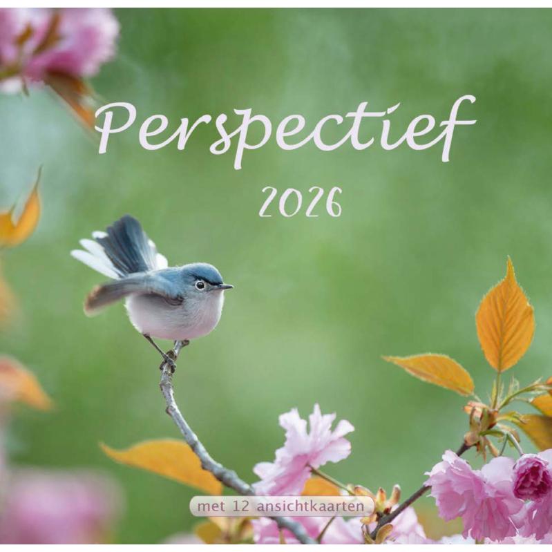 Kalender Perspectief 2026 NBV21