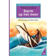 Storm op het meer - Willemijn de Weerd