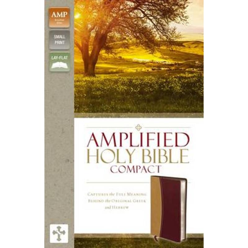 Amplified holy bible compact leathersoft