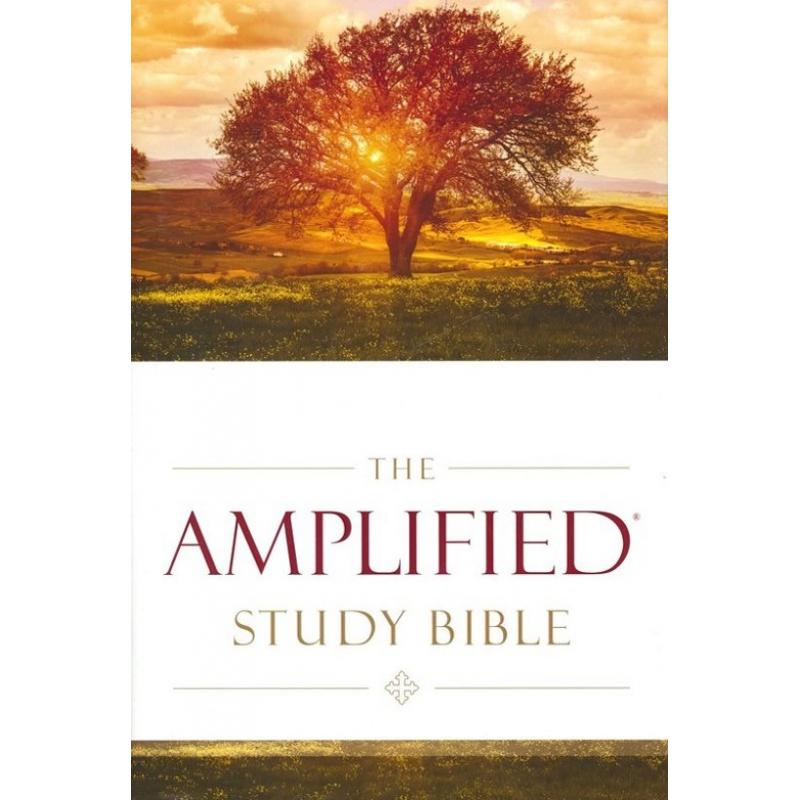 Amplified study bible hardcover