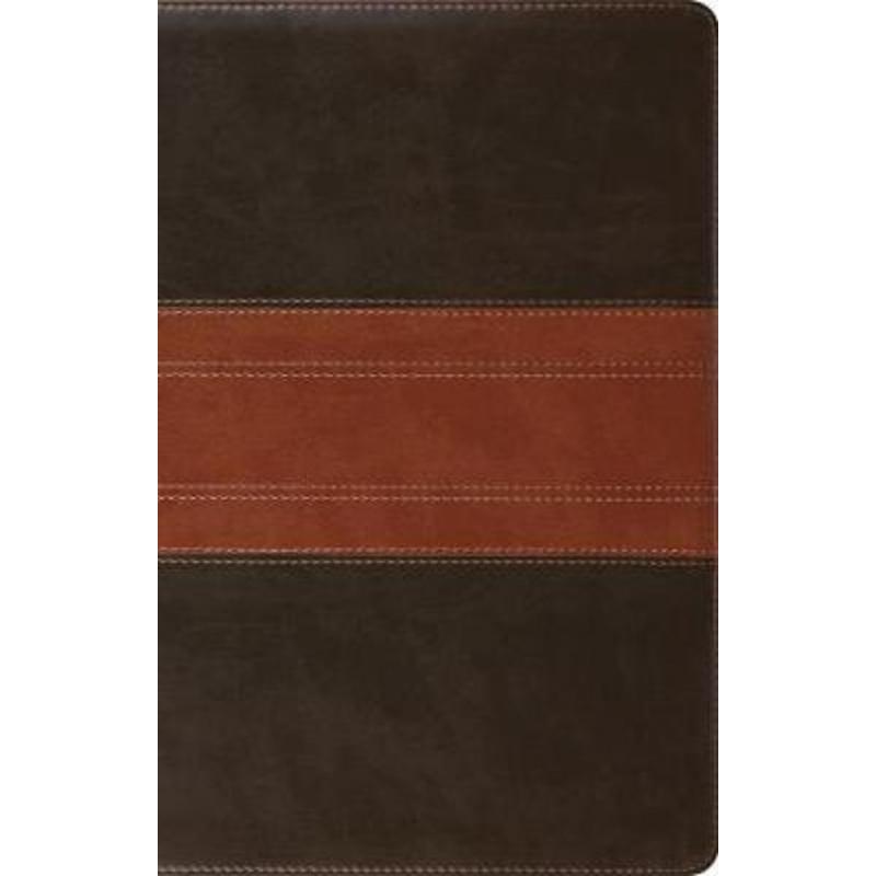ESV large print thinline reference bible