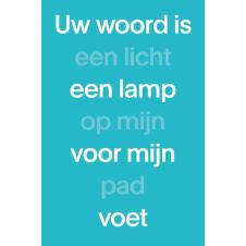 NBV21 paperback blauw