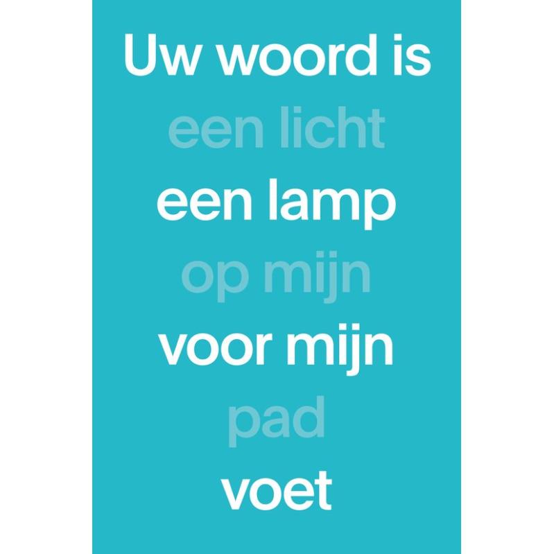 NBV21 paperback blauw