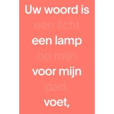 NBV21 paperback rood