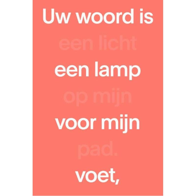 NBV21 paperback rood