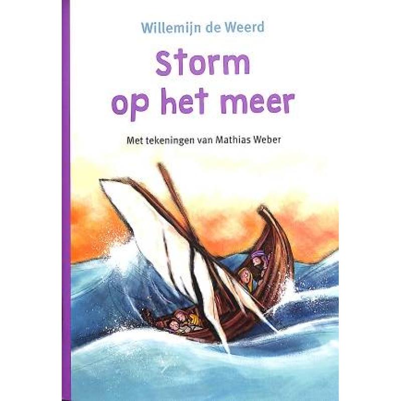 Storm op het meer - Willemijn de Weerd